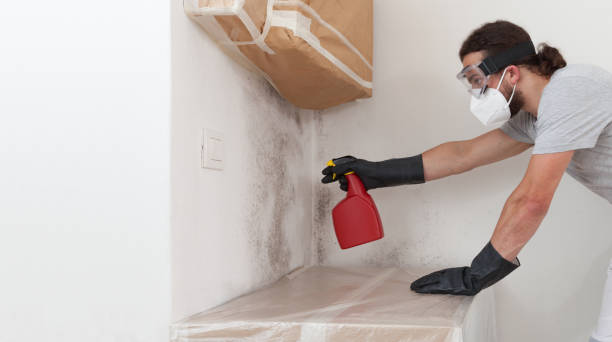 Professional Crawl Space Mold Remediation technician working in Madison, NJ