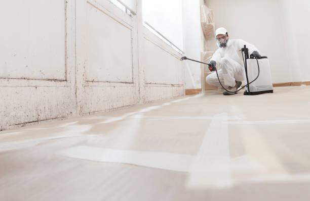 24/7 Emergency Crawl Space Mold Remediation experts in Madison, NJ