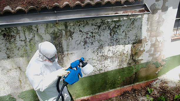 Top rated local Crawl Space Mold Remediation specialists in Madison, NJ
